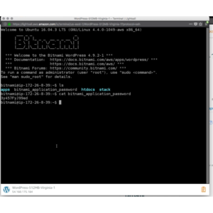 bitnami-password-1320x1117.original
